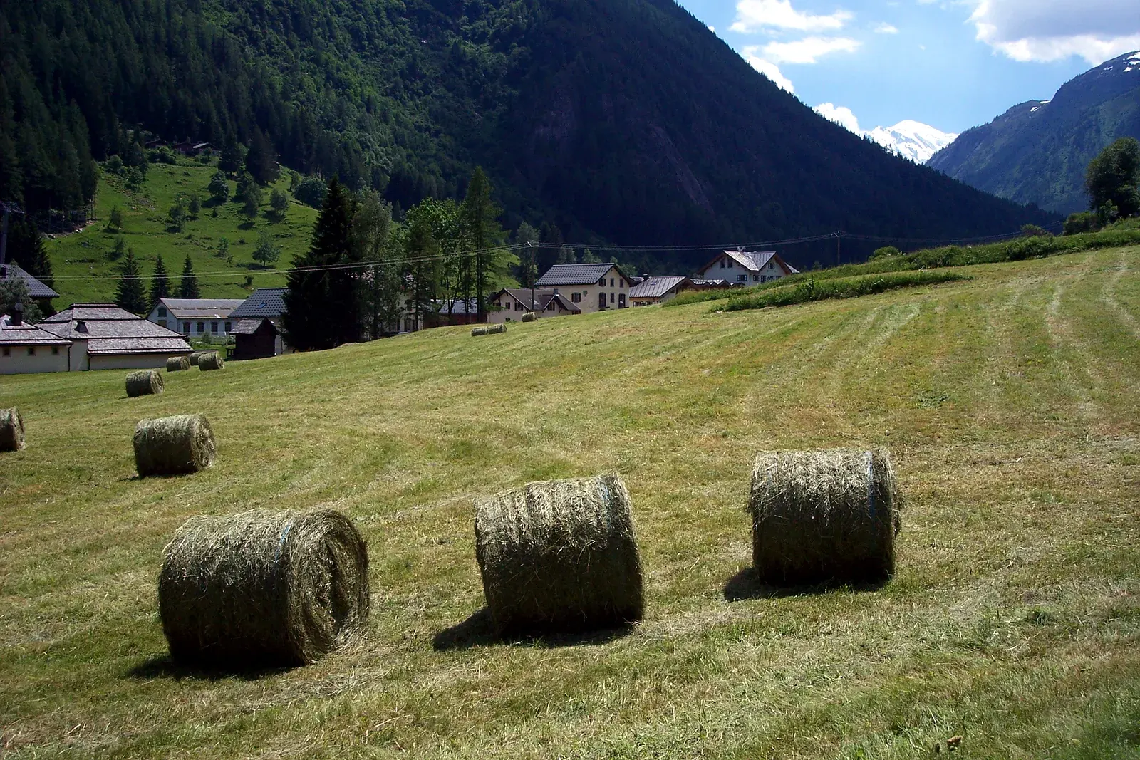 Alpages ensoleillés d'un plateau alpin en été (image d'illustration)