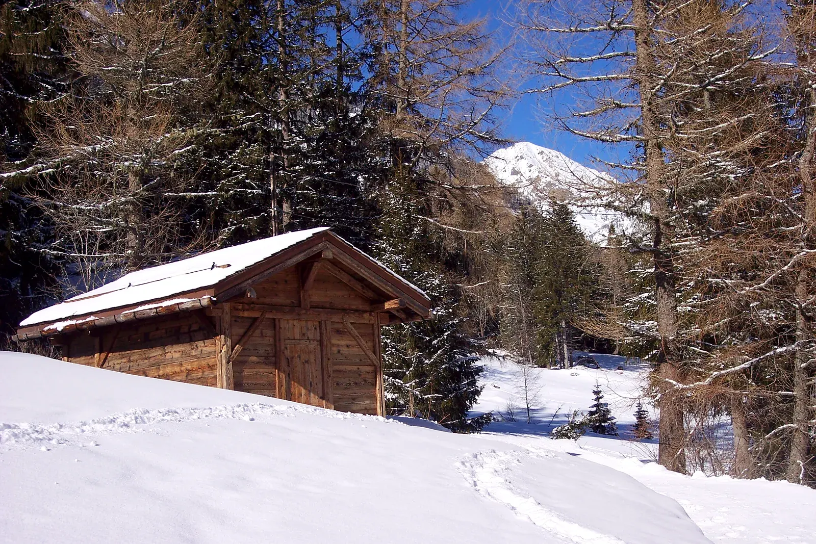 Grenier-mazot traditionnel en bois à Vallorcine, sous la neige (image d'illustration)