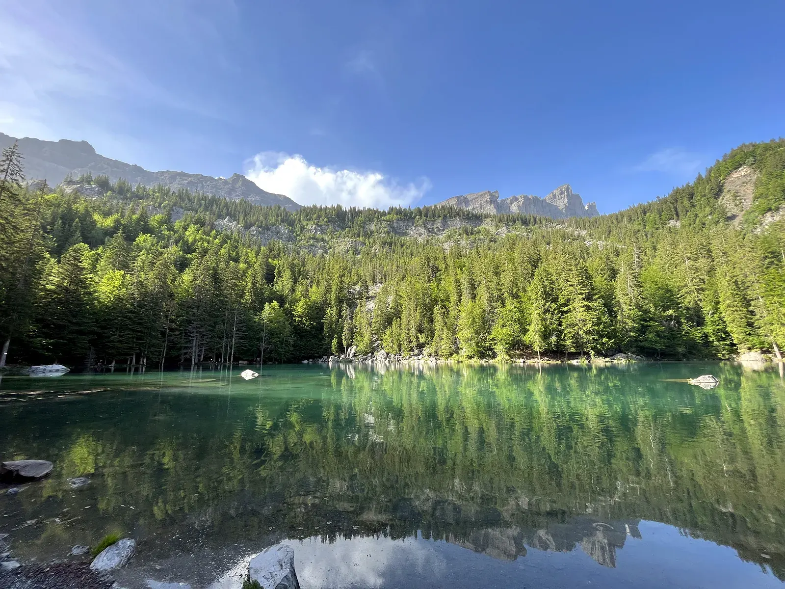 Lac aux eaux vertes bordé de forêt de conifères, reflet des sommets — l'ambiance d'un lac vert de montagne (image d'illustration)