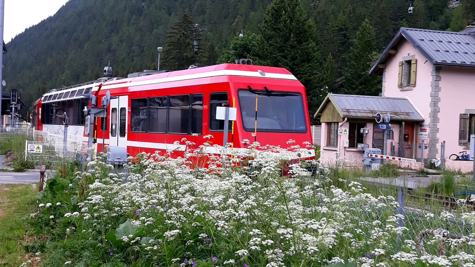 Le Mont-Blanc Express à quai en gare de Vallorcine, devant les fleurs