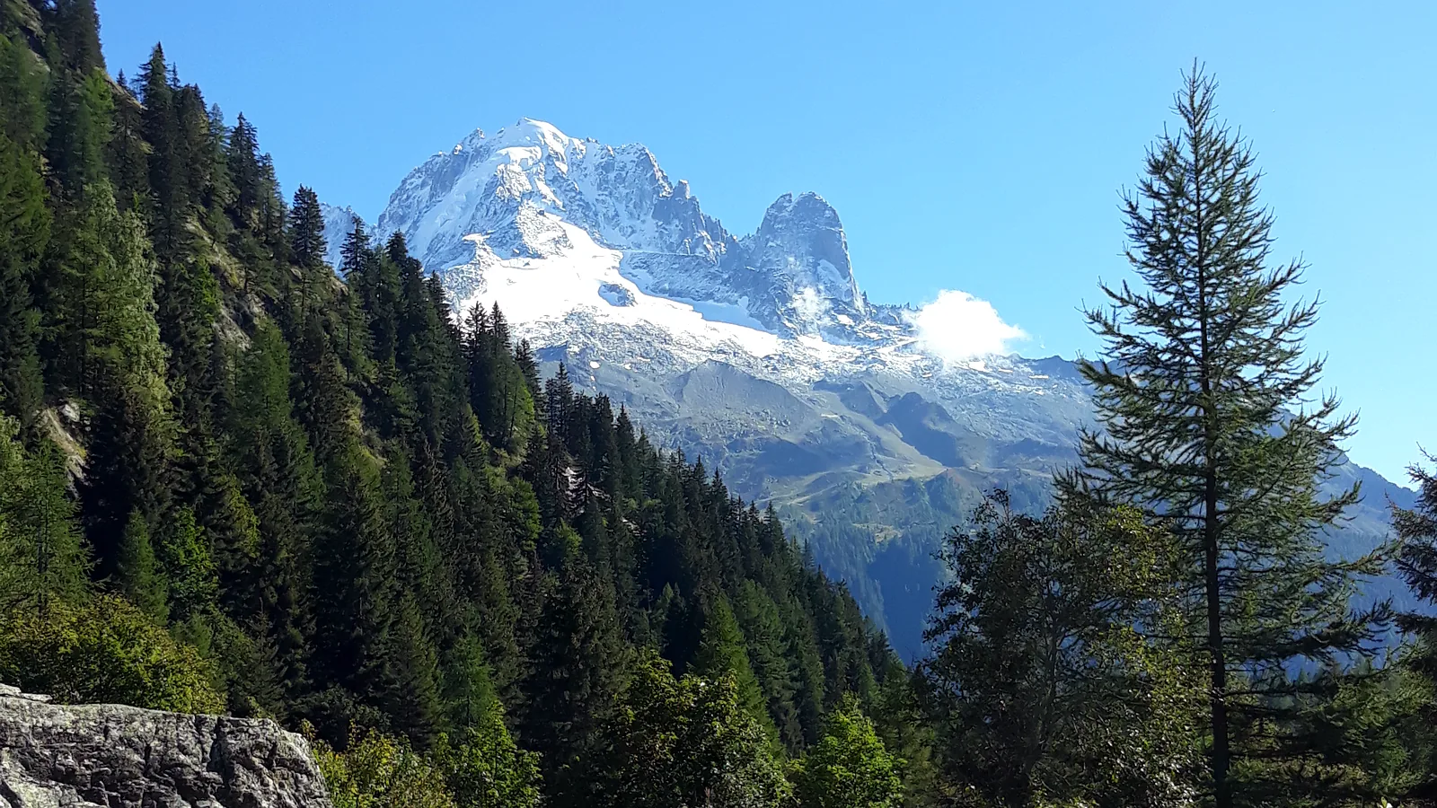 Vue sur le massif du Mont-Blanc depuis les prairies de Vallorcine, en été